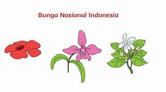 Bunga Bangsa Adalah